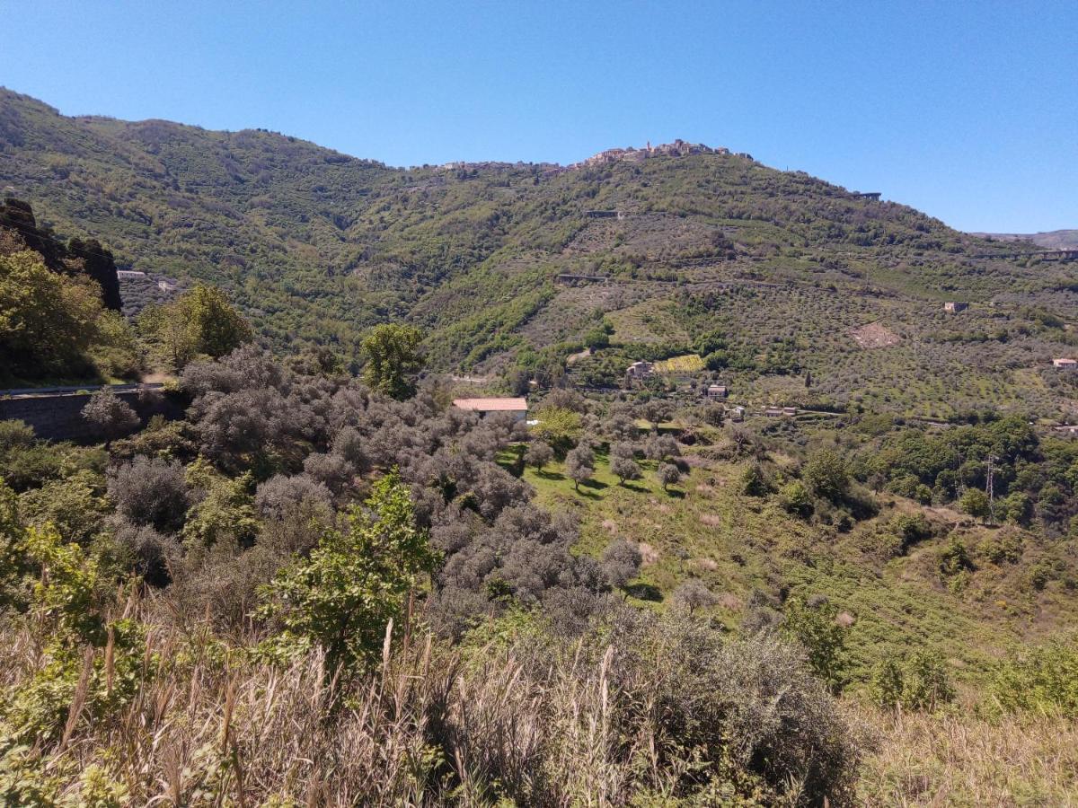 L'Antica Quercia B&B Castell'Umberto Dış mekan fotoğraf