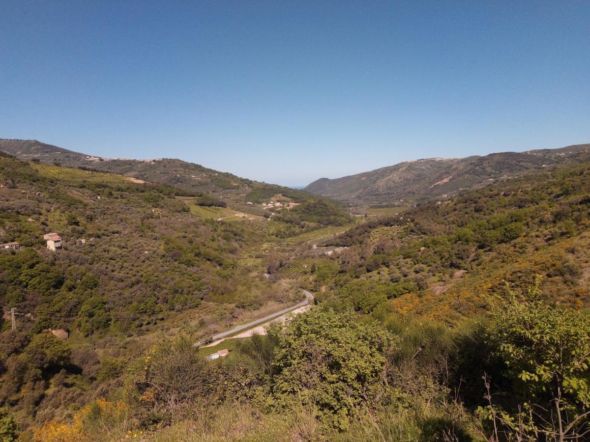 L'Antica Quercia B&B Castell'Umberto Dış mekan fotoğraf