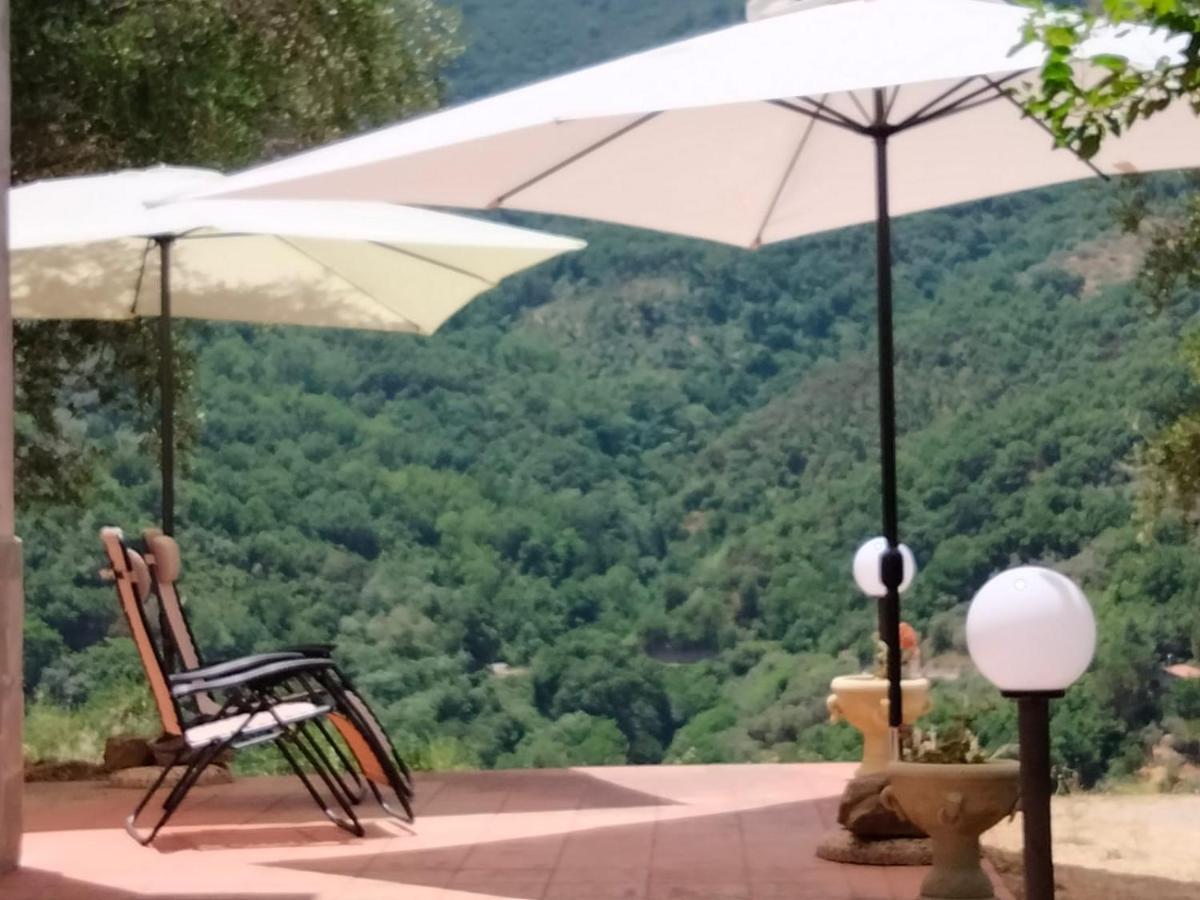 L'Antica Quercia B&B Castell'Umberto Dış mekan fotoğraf