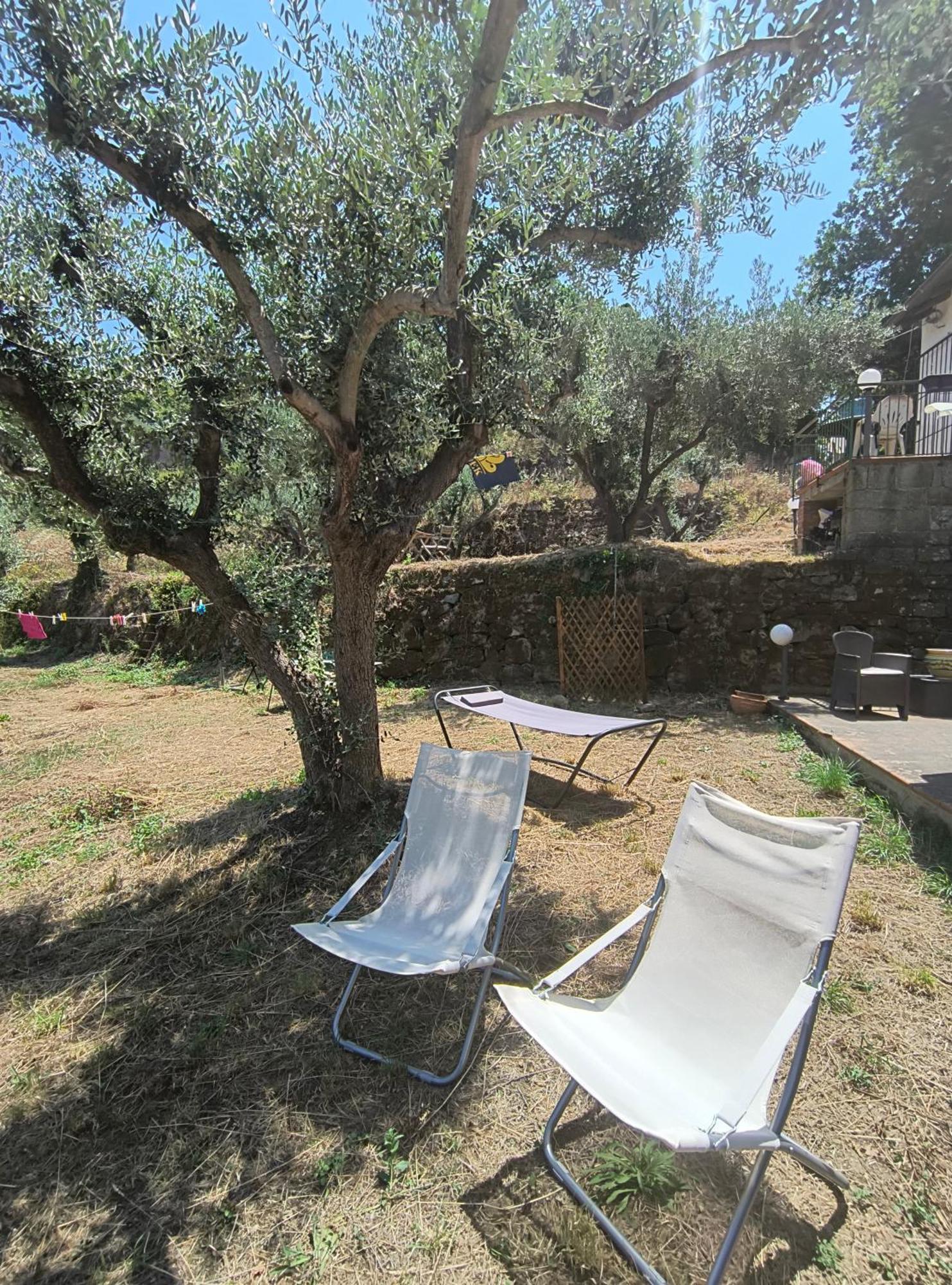 L'Antica Quercia B&B Castell'Umberto Dış mekan fotoğraf