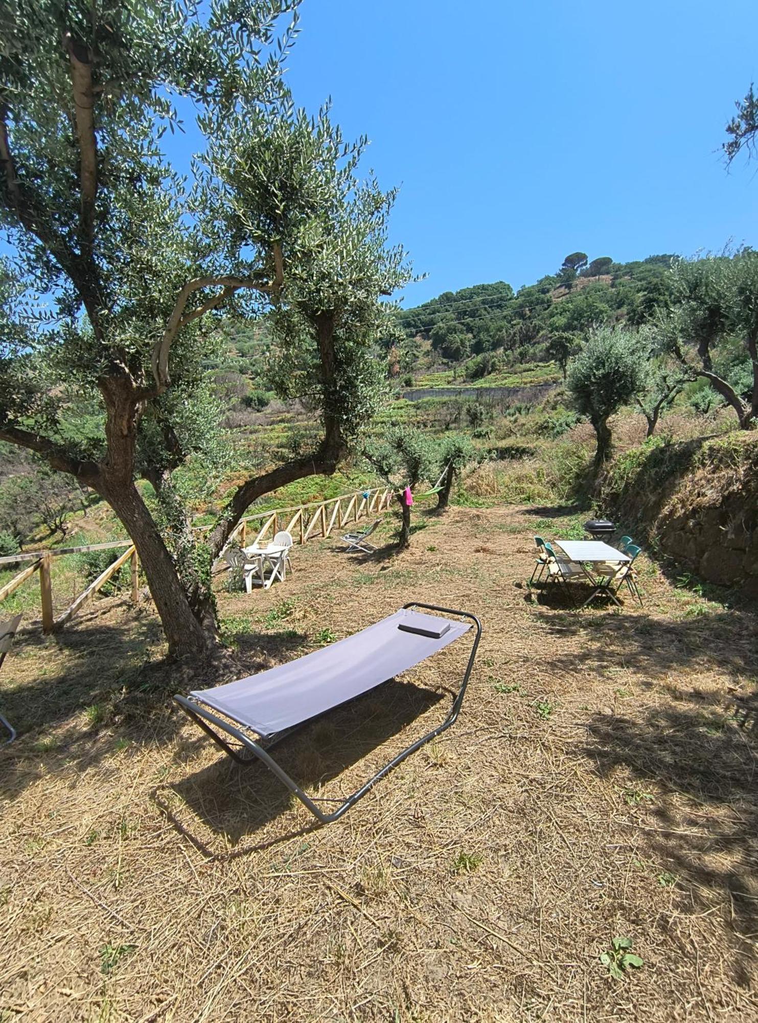 L'Antica Quercia B&B Castell'Umberto Dış mekan fotoğraf
