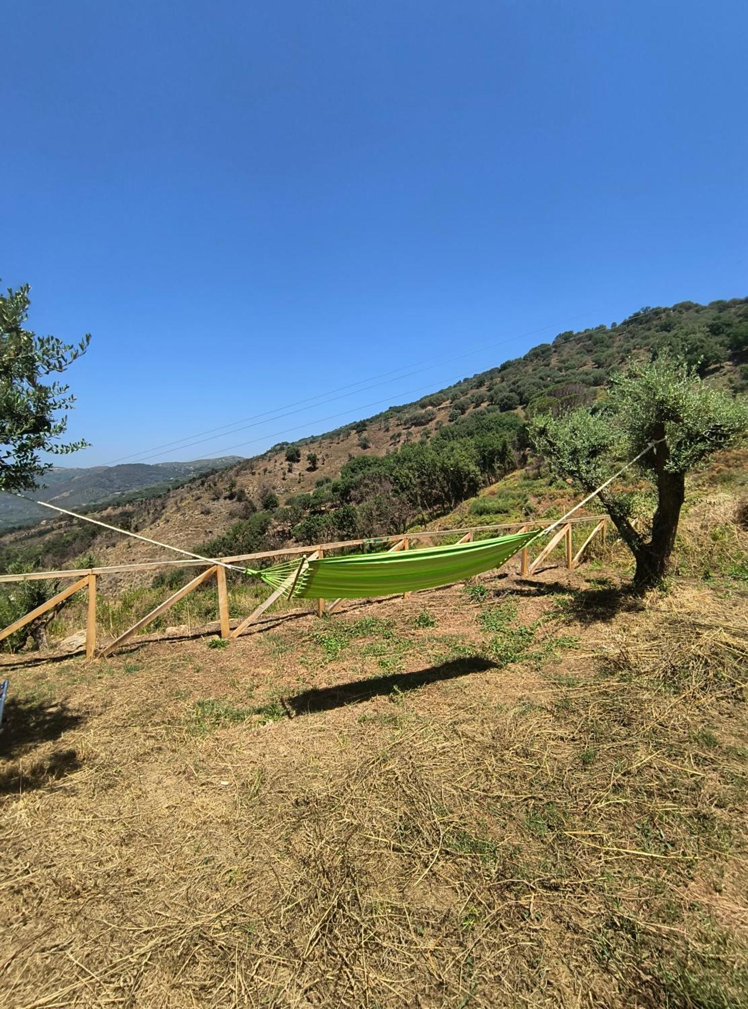 L'Antica Quercia B&B Castell'Umberto Dış mekan fotoğraf