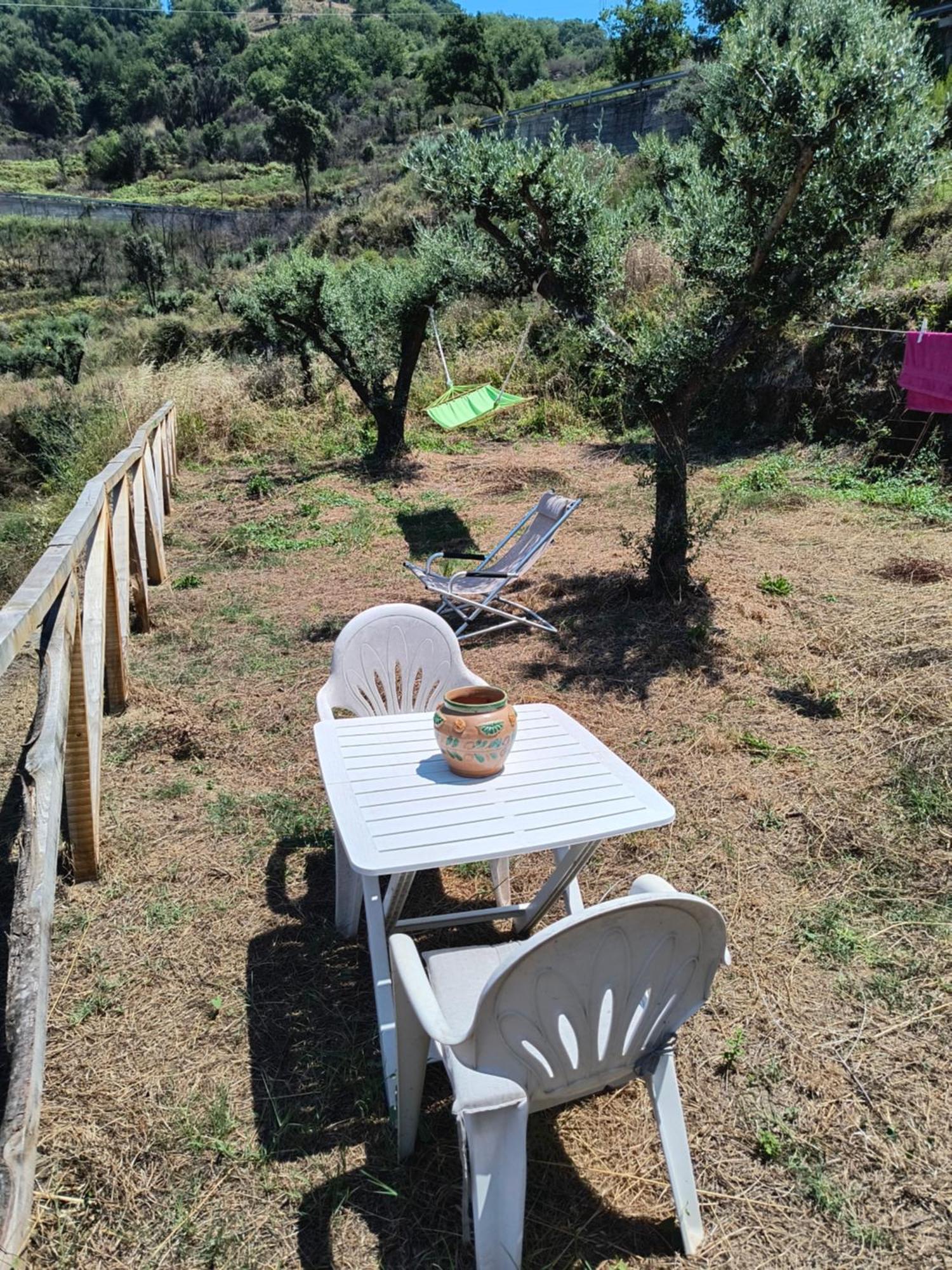 L'Antica Quercia B&B Castell'Umberto Dış mekan fotoğraf